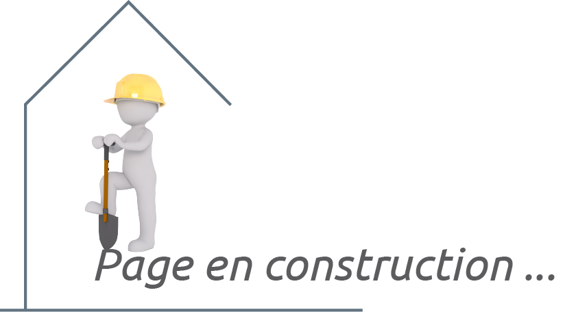 Page en construction ...